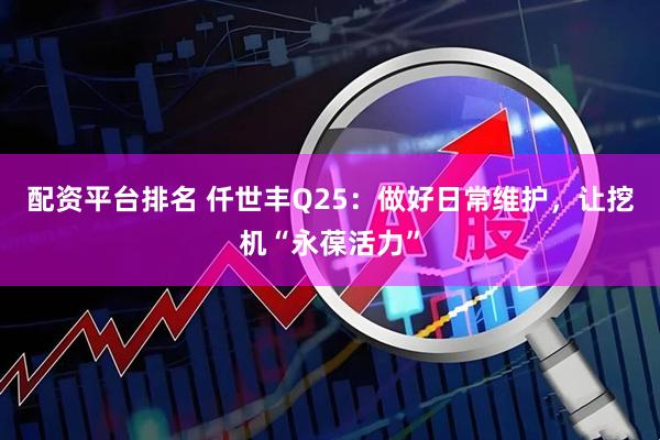 配资平台排名 仟世丰Q25：做好日常维护，让挖机“永葆活力”