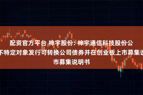 配资官方平台 神宇股份: 神宇通信科技股份公司向不特定对象发行可转换公司债券并在创业板上市募集说明书