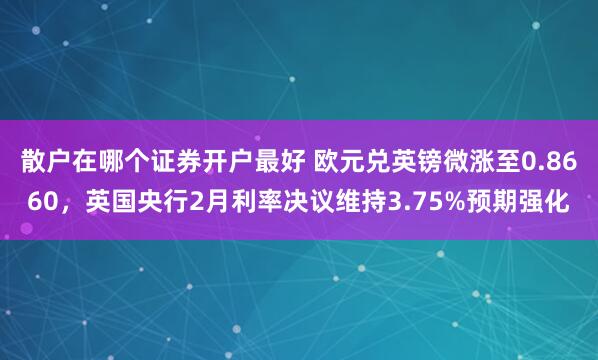 散户在哪个证券开户最好 欧元兑英镑微涨至0.8660，英国央行2月利率决议维持3.75%预期强化
