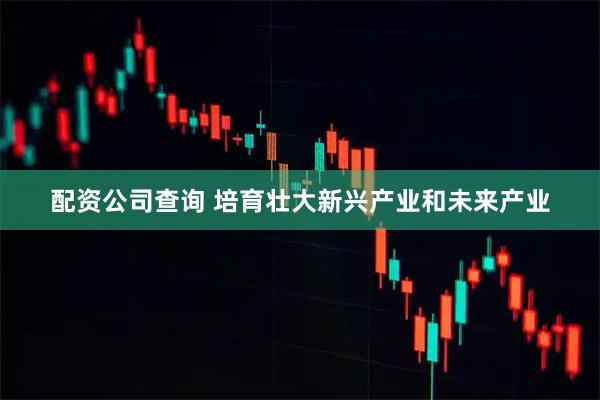 配资公司查询 培育壮大新兴产业和未来产业
