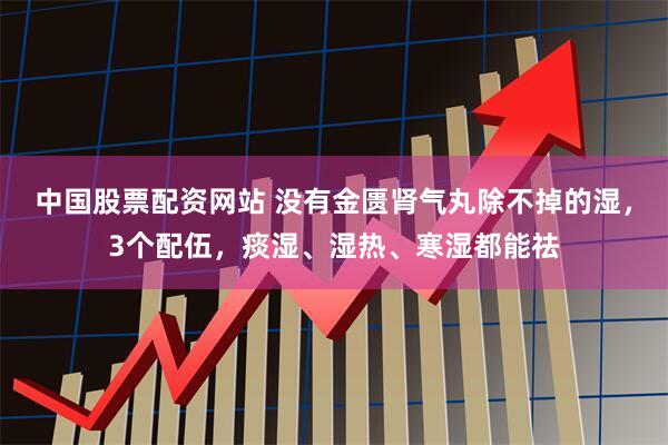 中国股票配资网站 没有金匮肾气丸除不掉的湿，3个配伍，痰湿、湿热、寒湿都能祛